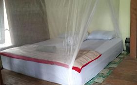 Bukit Lawang Landak River Guest House